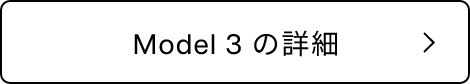 Model 3 の詳細