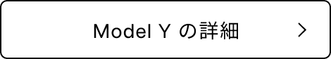 Model Y の詳細