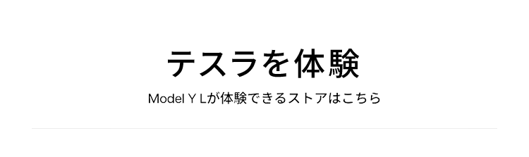 テスラを体験